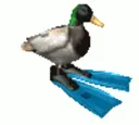 dukspin