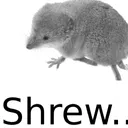 shrew shrew