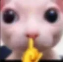 shhh shhh