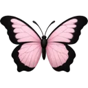 Papillonbadasssoueeeeee