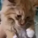 waaa