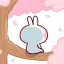 BnuyPonder