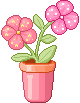 15820flowers