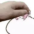 dorofatpat