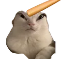 Bonknald