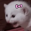 SEMRAGEE SEMRAGEE