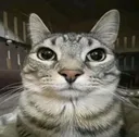 m_