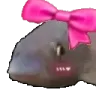 bowfish