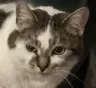 Poppy_Sideeye