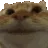 catyes
