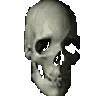 rotating_skull