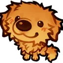 3r_thegoldenretriever