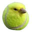 tennisbird