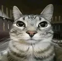 __