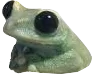 FrogSeesAll