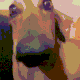 ezgif6e8134c957f3761747185387939