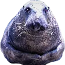politepotatochip politepotatochip