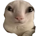 BigBrainald BigBrainald