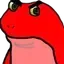 frog_angry