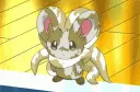 cinccinogif