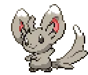 minccino