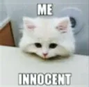 me_inocent