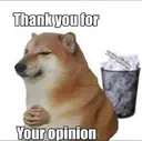 your_opinion