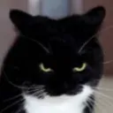 GRRRRRrrrrrrrr