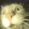 guhwuhwhuh
