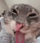 rigbyFreaky2