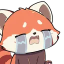 CryBaby