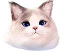 inzoicat