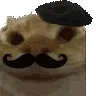 OuiOui