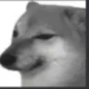 doggee