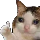 sadcat
