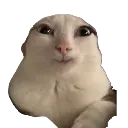 Happynald