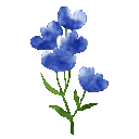 g9flower5_P2U