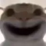 cat8
