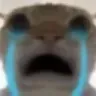 cat9