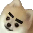 eyeBrows eyeBrows