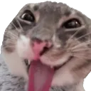 freakyahhrigby