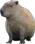 capybara