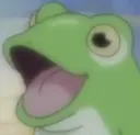 froggers froggers