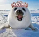 Sealwithcrown