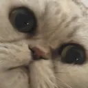 mou_confused