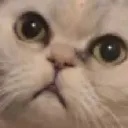 mou_shocked