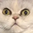mou_huh mou_huh