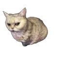 mou_spin