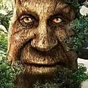 wisemystical_tree