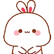 mochi_bunny_blink